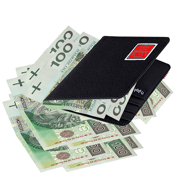 peněženka
